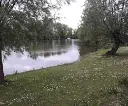 water 1.webp