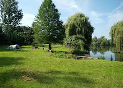 water 2.webp
