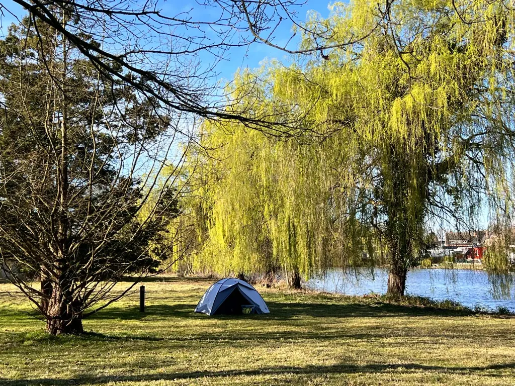 WhatsApp Image 2025-03-23 at 21.57.16 (1).webp